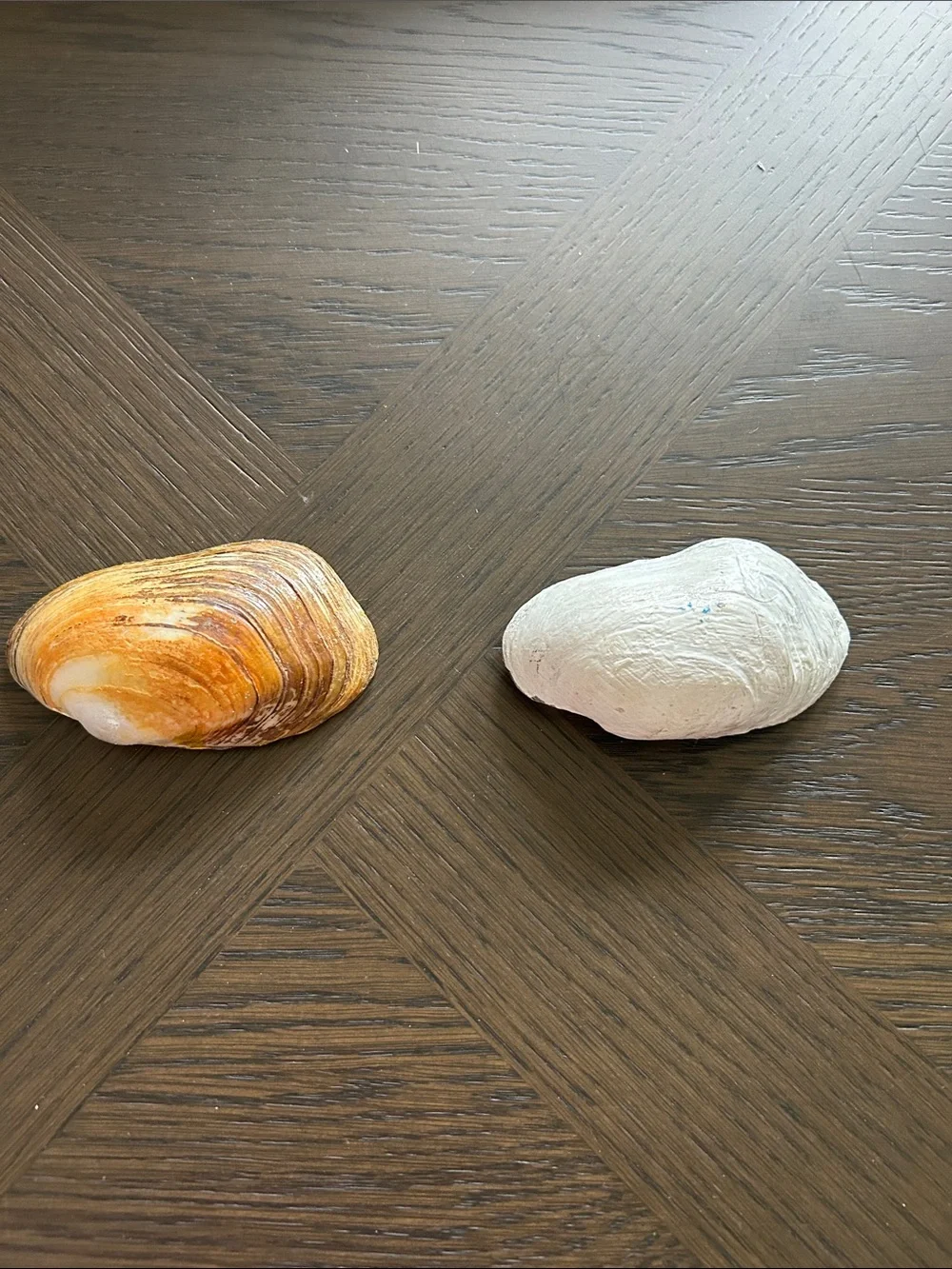 Handmade Butterfly Resin Trinket Dish Shell Pearl Set Accents NWOT